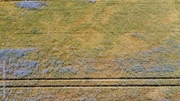 Obraz Widok z drona na pole