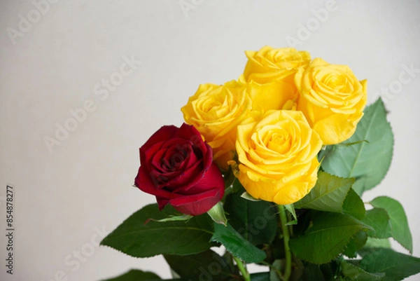 Fototapeta 黄色と赤のばら