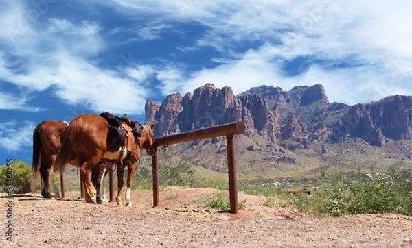 Obraz Wild West Town Horses tied to post – Horse tied to a post in a Wild West cowboy town. Off in the distant background desert, cactus, and large red mountain range  