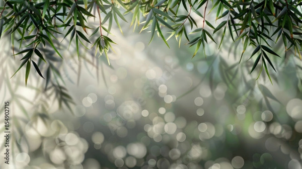 Fototapeta Abstract gray shadow background of natural bamboo leaves branch