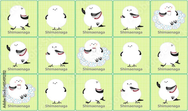 Obraz シマエナガ壁紙 1 (緑)