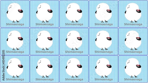 Obraz シマエナガ壁紙 6 (青)