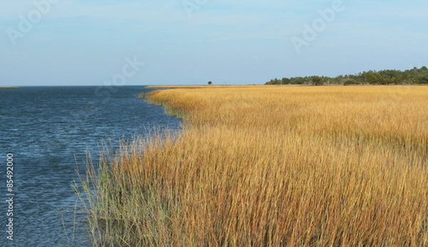 Obraz Ocean with yellow marsh and sea grass