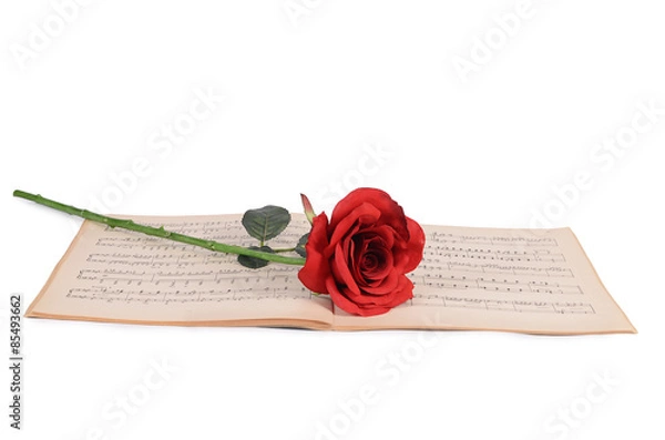 Obraz The rose on notebooks with notes