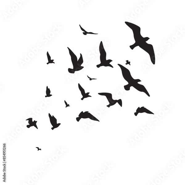 Obraz birds in flight