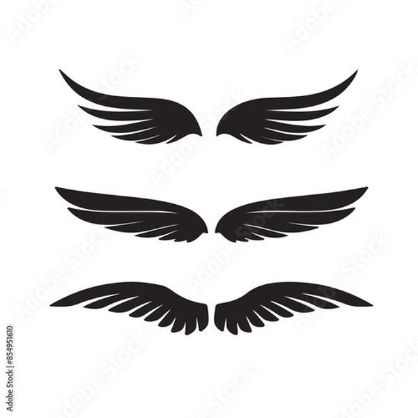 Obraz wings vector
