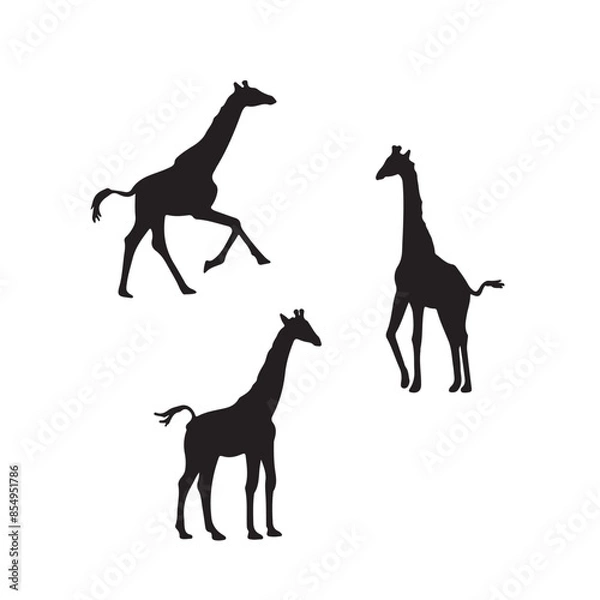 Obraz giraffe silhouette vector