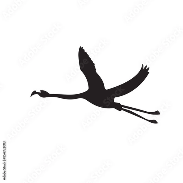 Obraz silhouette of a bird flying