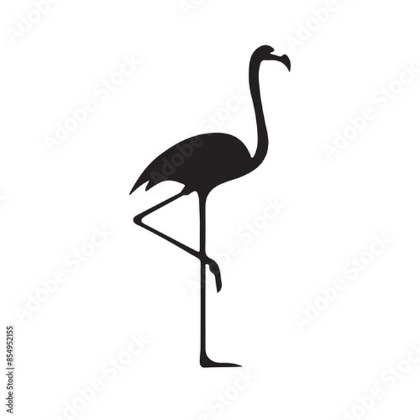 Obraz flamingo isolated on white background