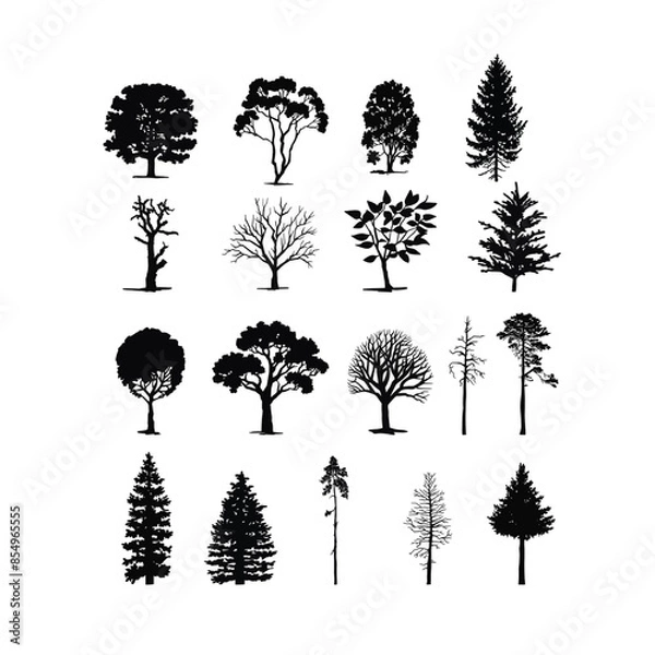 Fototapeta A large set of different Silhouettes of deciduous bushes and trees. black illustration