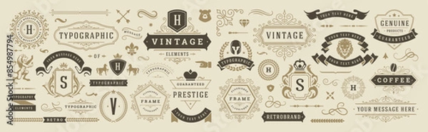 Obraz Vintage typographic decorative ornament design elements set vector illustration