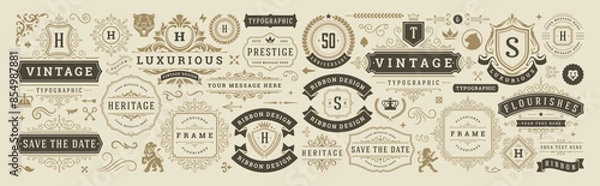 Fototapeta Vintage typographic decorative ornament design elements set vector illustration