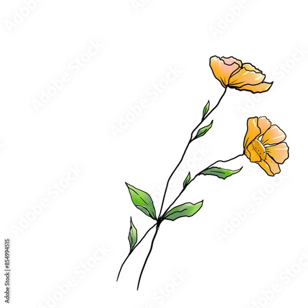 Obraz Yellow flower isolated on white background