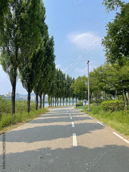 Fototapeta 반포한강 산책로