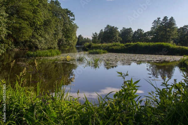 Obraz The river Naab in Bavaria