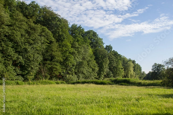 Obraz Summer landscape in Bavaria