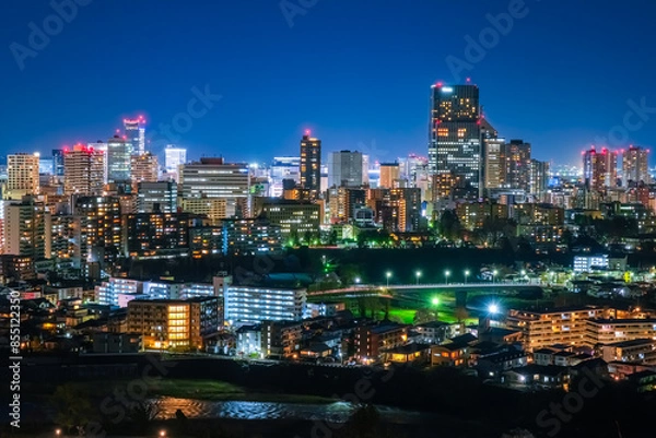 Fototapeta 宮城県仙台市 仙台城跡から眺める仙台市の夜景