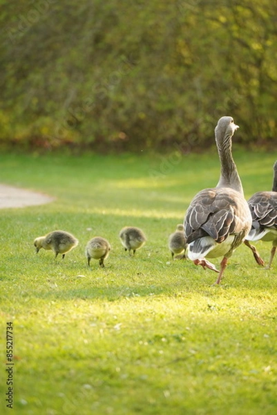 Obraz A picture clicked in Denmark