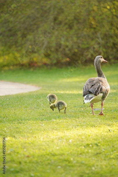 Obraz A picture clicked in Denmark