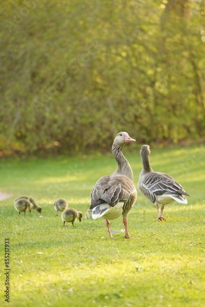 Obraz A picture clicked in Denmark