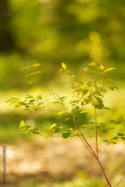 Obraz A picture clicked in Denmark