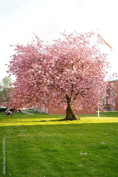 Obraz A picture clicked in Denmark