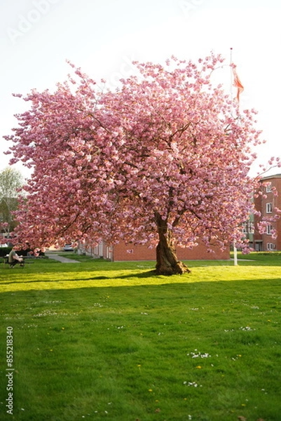 Obraz A picture clicked in Denmark