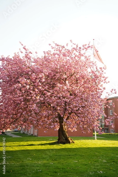 Obraz A picture clicked in Denmark