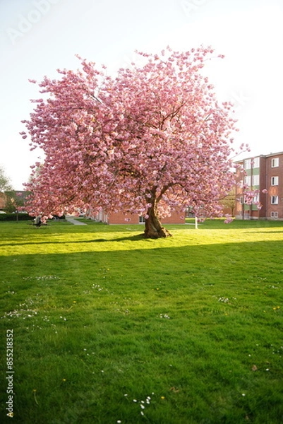 Obraz A picture clicked in Denmark