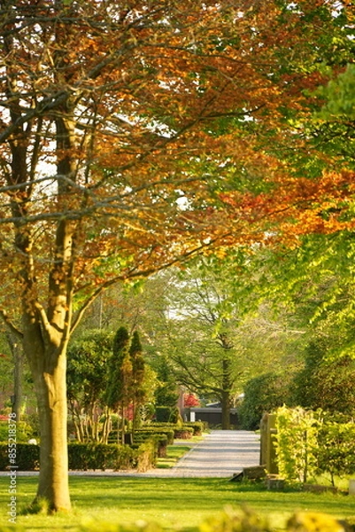 Obraz A picture clicked in Denmark