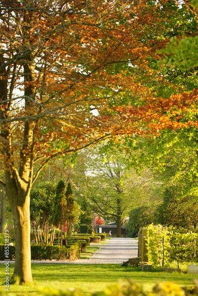 Obraz A picture clicked in Denmark