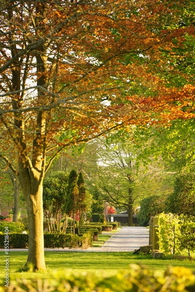 Obraz A picture clicked in Denmark