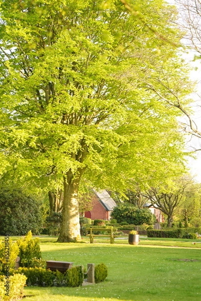 Obraz A picture clicked in Denmark