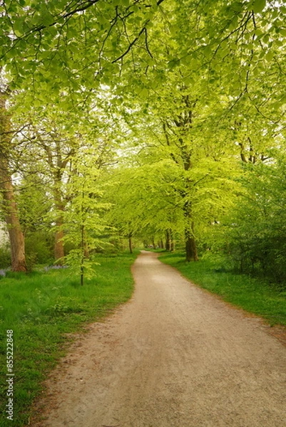 Obraz A picture clicked in Denmark