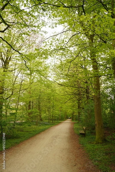 Obraz A picture clicked in Denmark