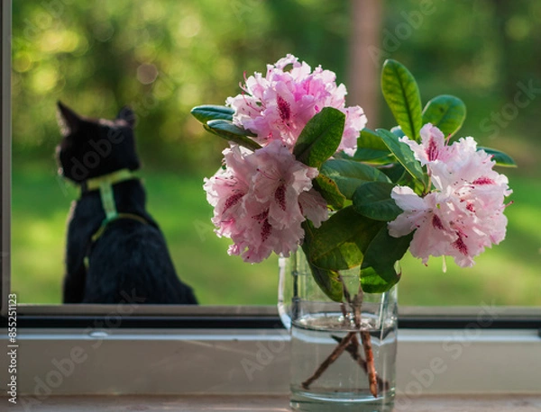 Obraz little black cat in the sunny summer light against the background of a rhododendron flower