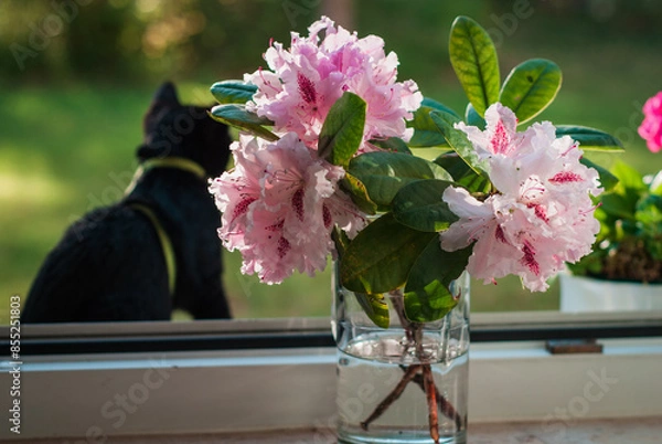 Obraz little black cat in the sunny summer light against the background of a rhododendron flower