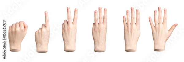 Obraz Hand showing fingers counting. One, two, three, four, five numbers isolated. Gestures for count, nonverbal communication, transparent PNG cutout