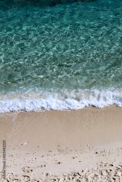 Fototapeta ニシバマ