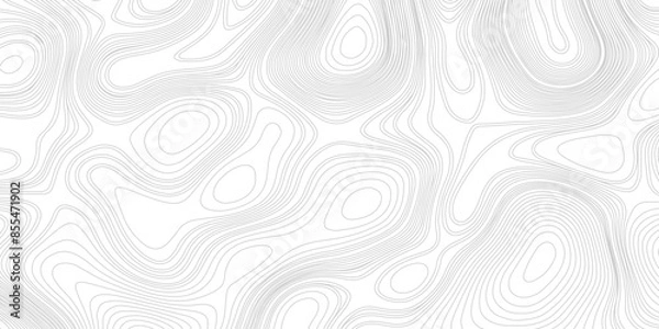 Fototapeta Topographic map, grid, texture, relief contour vector illustration