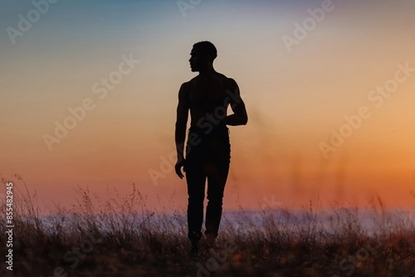 Fototapeta Silhouette of male ballet dancer standing in a pose. Behind him are heavenly clouds and the sun is setting.