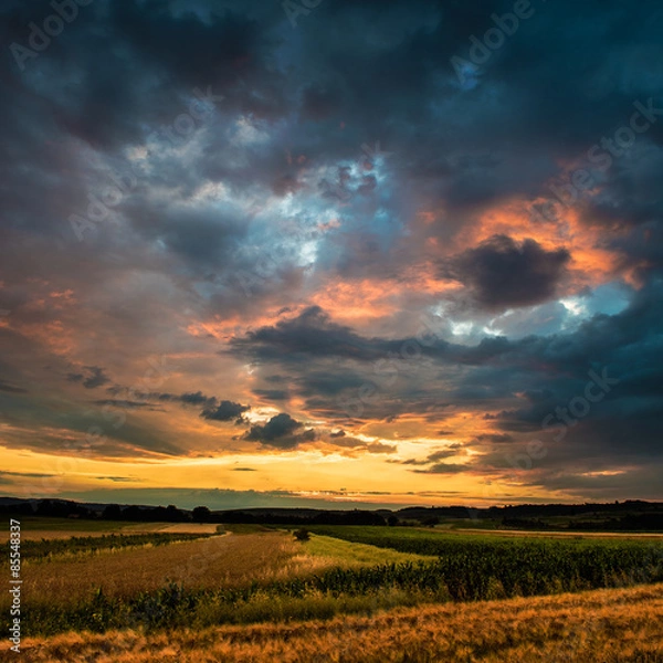 Obraz Sunset / agriculture