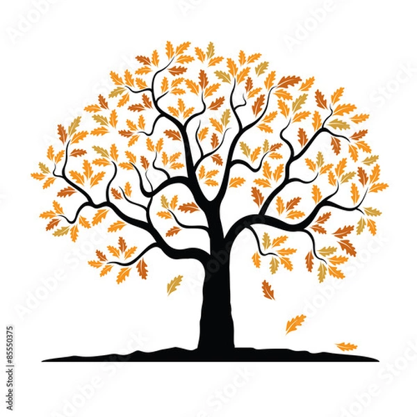 Fototapeta Vector Autumn Oak Tree