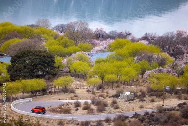 Obraz Linzhi Peach Blossom