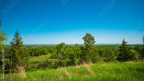 Obraz landscape with trees and blue sky