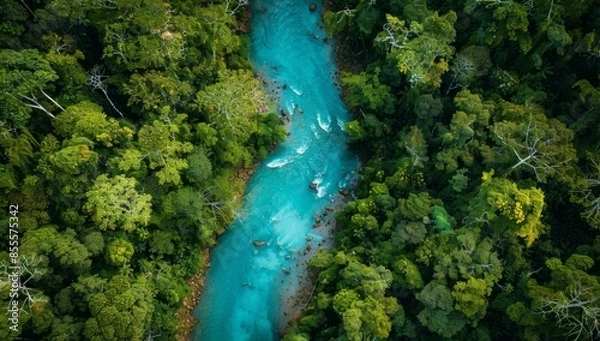 Fototapeta A river is seen in the middle of a forest. AI.