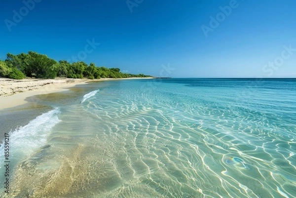 Fototapeta A beach with sandy shores, clear blue water, and lush trees providing a serene panorama, A serene panorama of a secluded beach with crystal clear water lapping at the shore