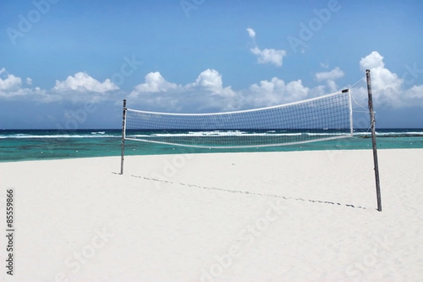 Obraz Volleyball Net