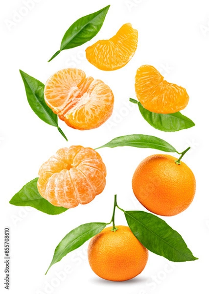 Fototapeta flying mandarins with green leaves and slices isolated on white background. clipping path