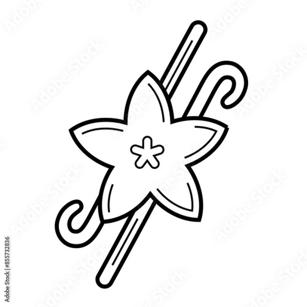 Fototapeta Vanilla beans linear vector icon isolated on white background, Outline vanilla flower with black vanilla sticks, simple black and white svg icon